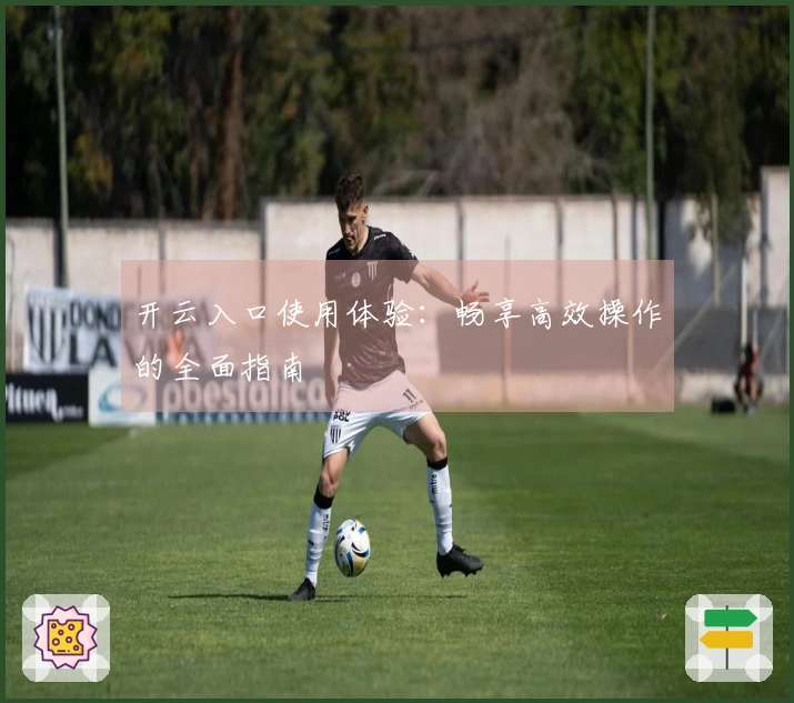 开云入口使用体验：畅享高效操作的全面指南