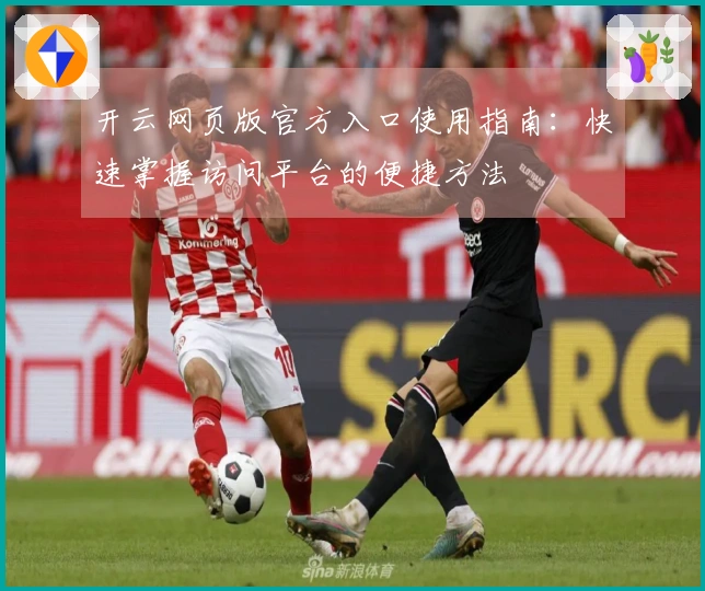 开云网页版官方入口使用指南：快速掌握访问平台的便捷方法